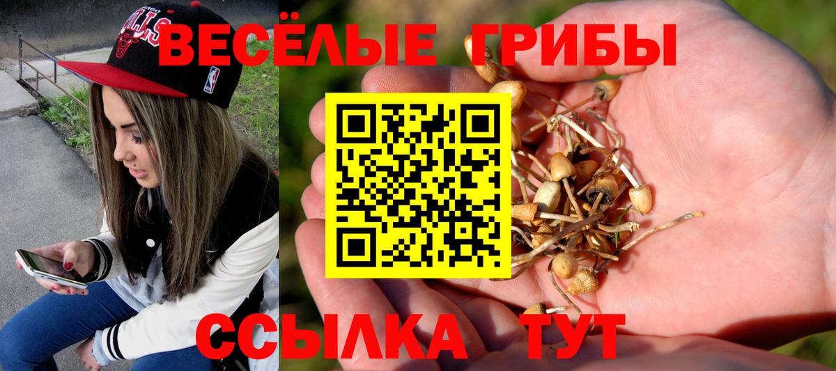 Псилоцибиновые грибы Psilocybine cubensis  Вход с VPN  Ялуторовск 